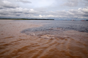 1301_Amazon_river-104.jpg