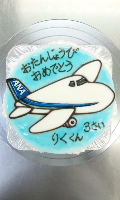 空飛ぶ ａｎａ ジェット機 を描いたイラストケーキ ケーキはキャンバス ここまで描ける