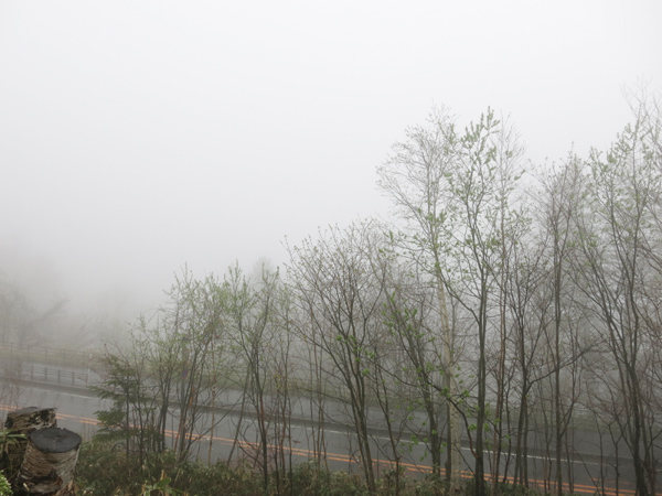 霧の支笏湖　展望台