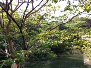 椿山荘4