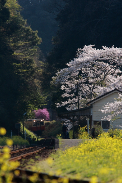 2010年4月上旬 小湊鉄道 月崎