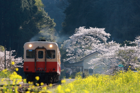 2010年4月上旬 小湊鉄道 月崎