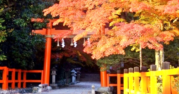 大田神社の紅葉