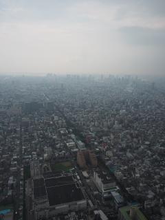 東京スカイツリーからの風景
