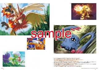 pokemon-cardgame-illust-collection20141213-8.jpg
