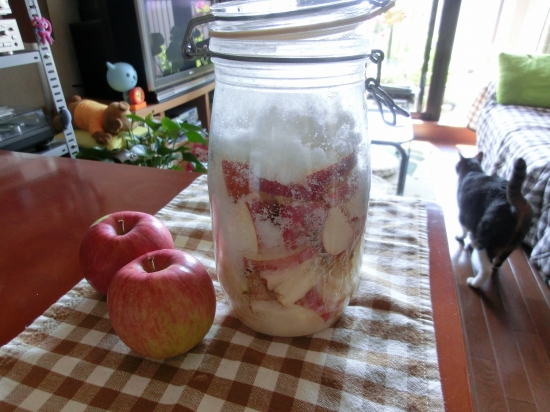 山猫ヒーリングのブログ りんご酵素ジュースの作り方